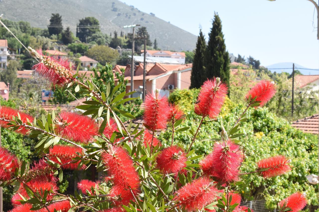 Starvillas Apartments And Studios Agia Efimia 外观 照片